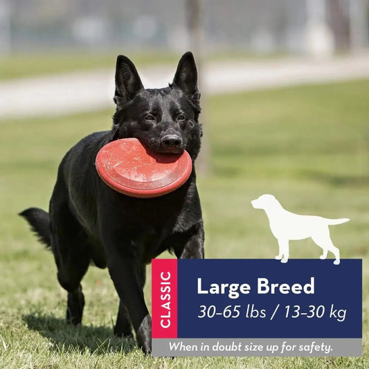 2024 Durable Kong Dog Toys Safer Healthy Activity Kong Flyer Rubber Outdoor Flying Disc